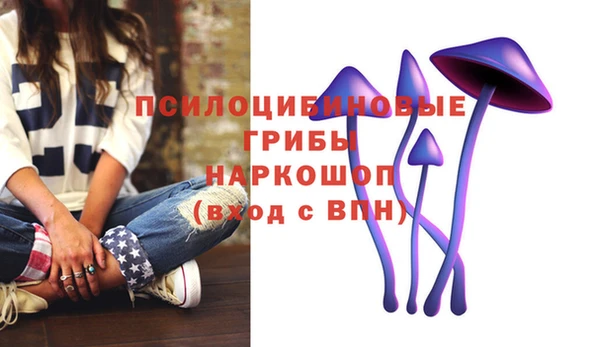 твердый Майский