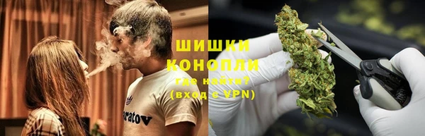 индика Магадан