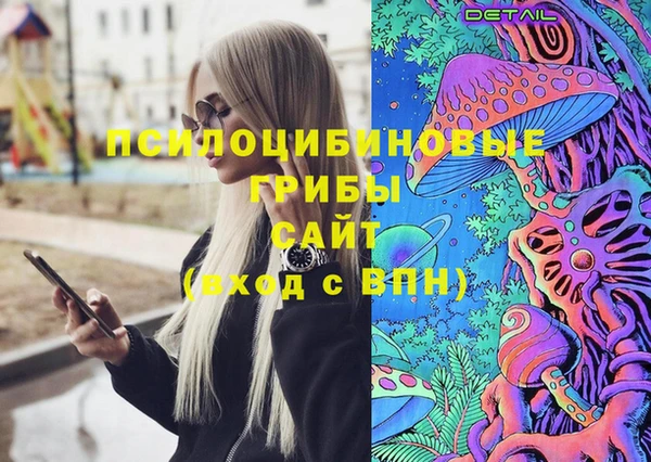 индика Магадан