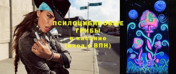 бошки Магас